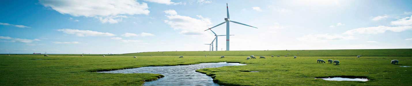 Natur und Umwelt sind uns wichtig