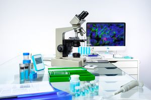 Immunohistochemistry service: establishment and routine