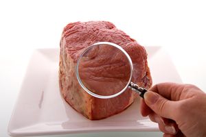 Food histology for quality inspection