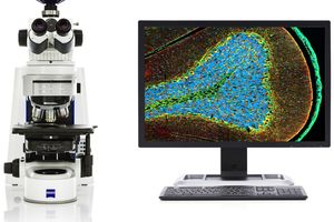 Digital pathology: scanning in brightfield and fluorescence