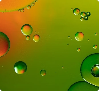 Oil and water phases – basis of selected formulations