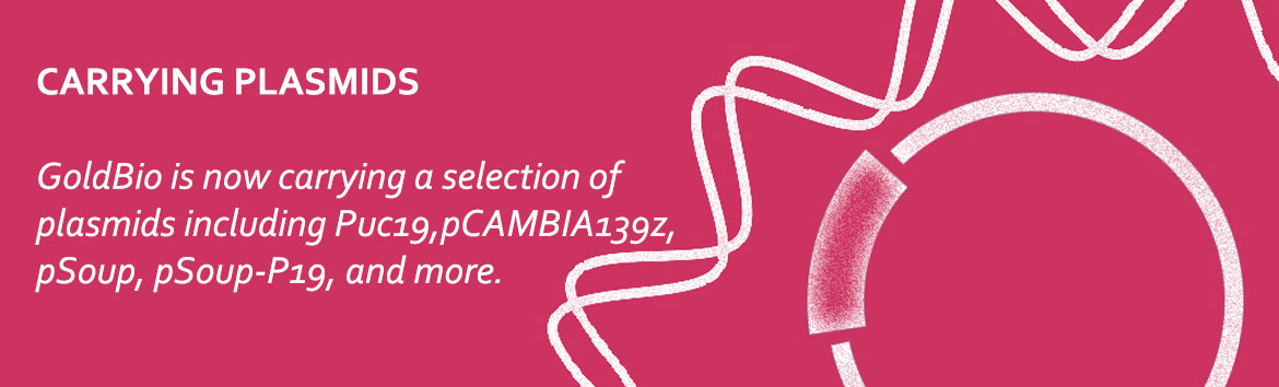 Carrying Plasmid