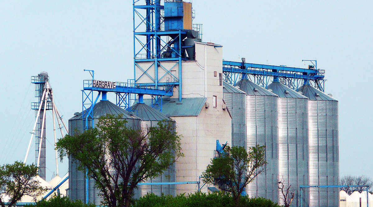 Field of application Food & Beverage