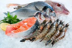Fisch & Meeresfrüchte