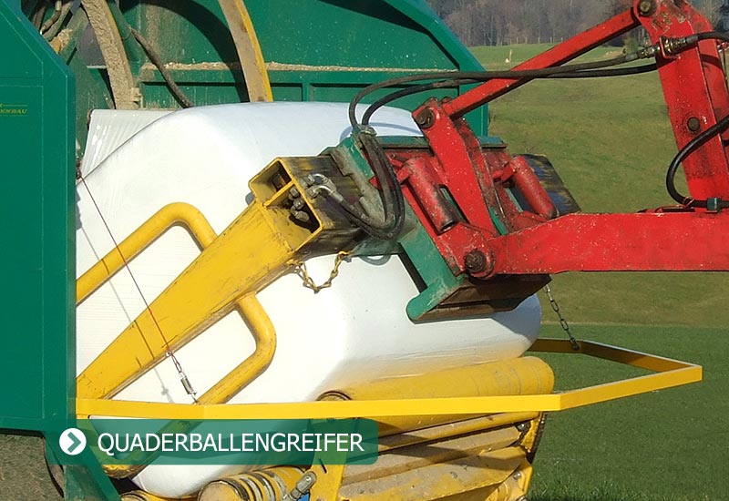Quaderballengreifer