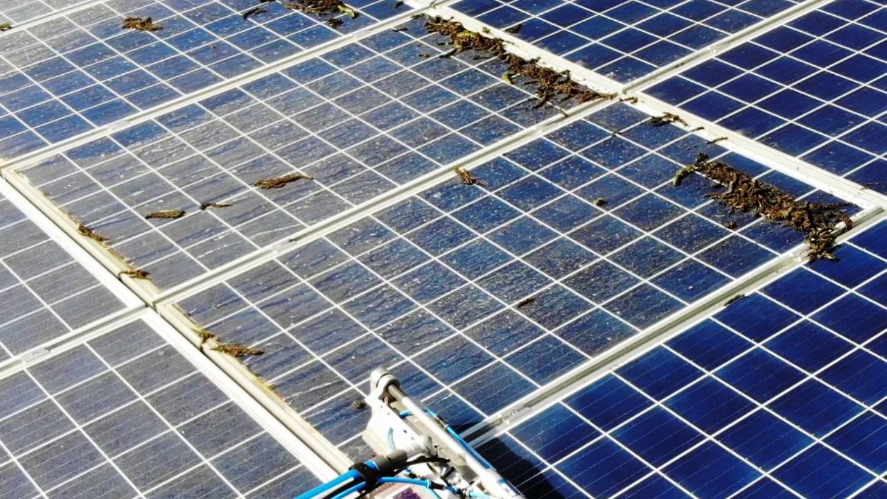 PV-Module vor der Reinigung