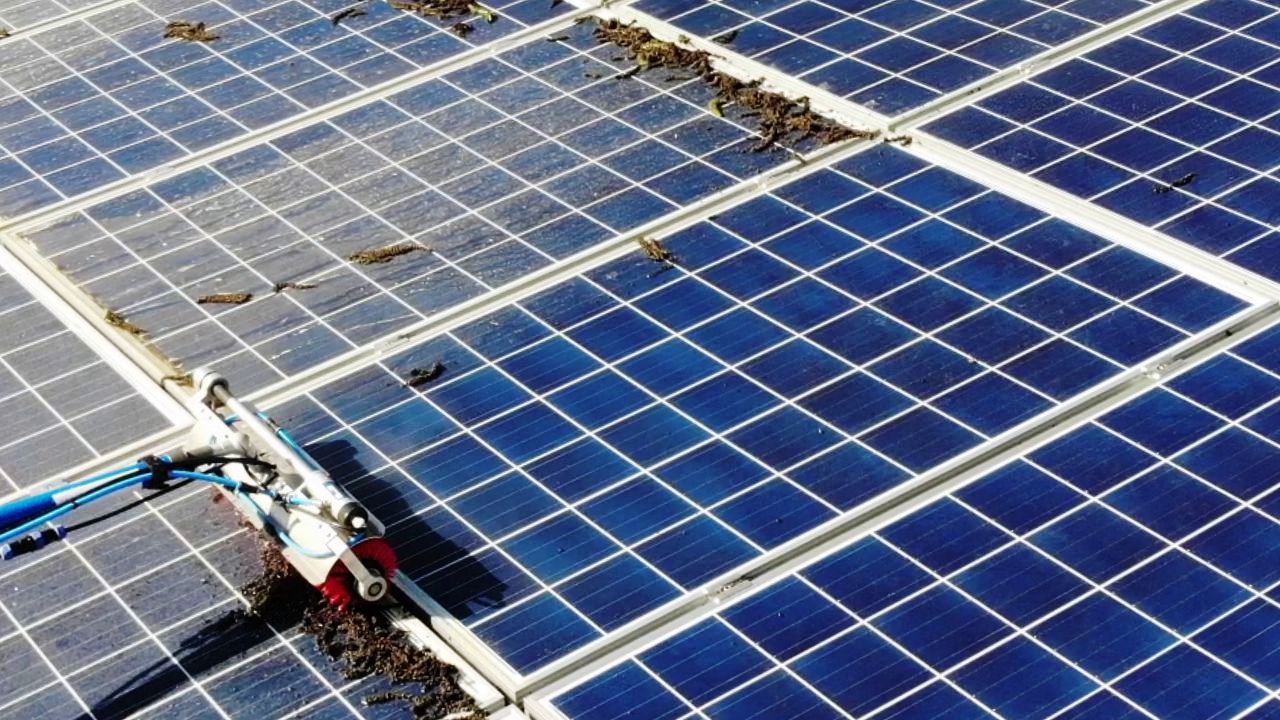 PV-Module nach der Reinigung