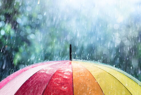 RAIN RFID (UHF) Inlays