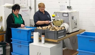 Self-adhesive equipped components