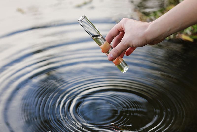 Umwelt und Bioremediation