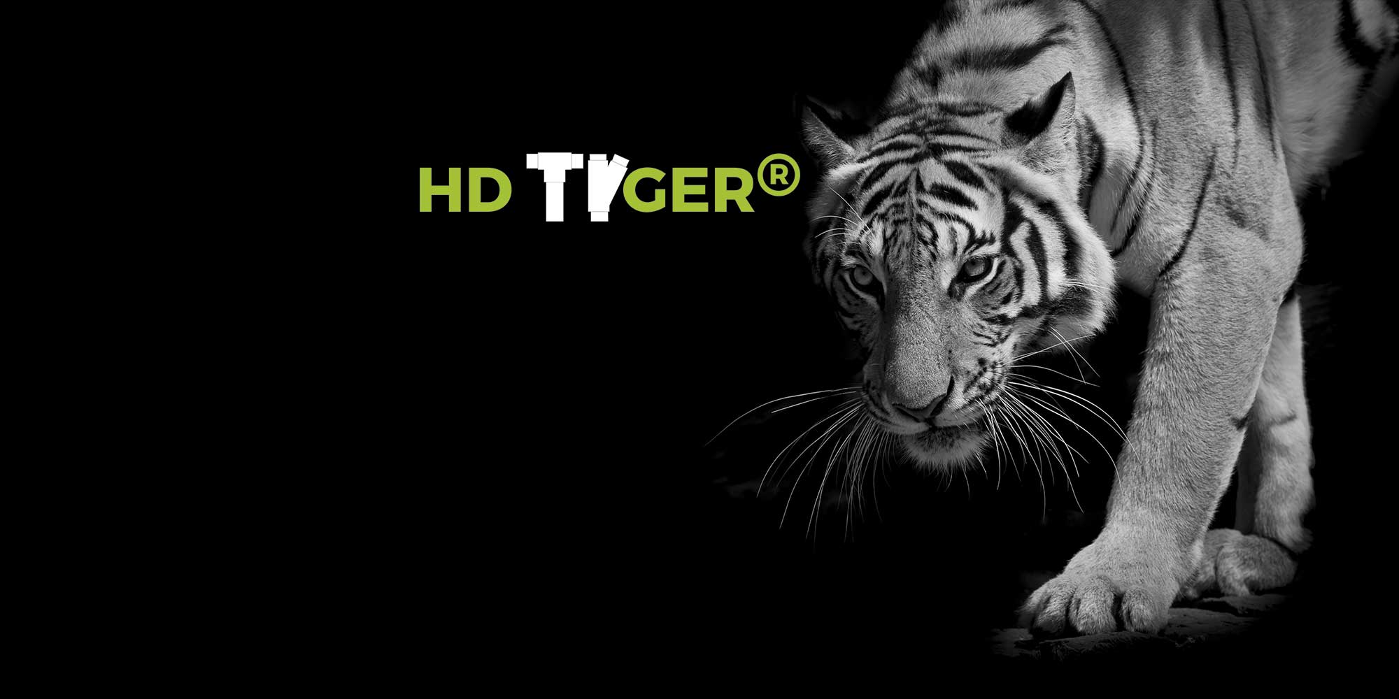 HD TYger