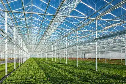 Greenhouse lighting