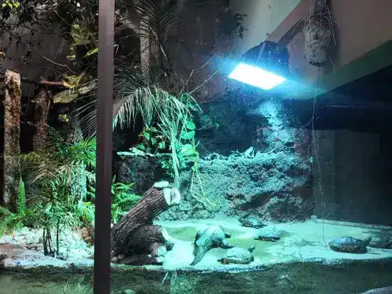 UV lighting at the Berlin Aquarium