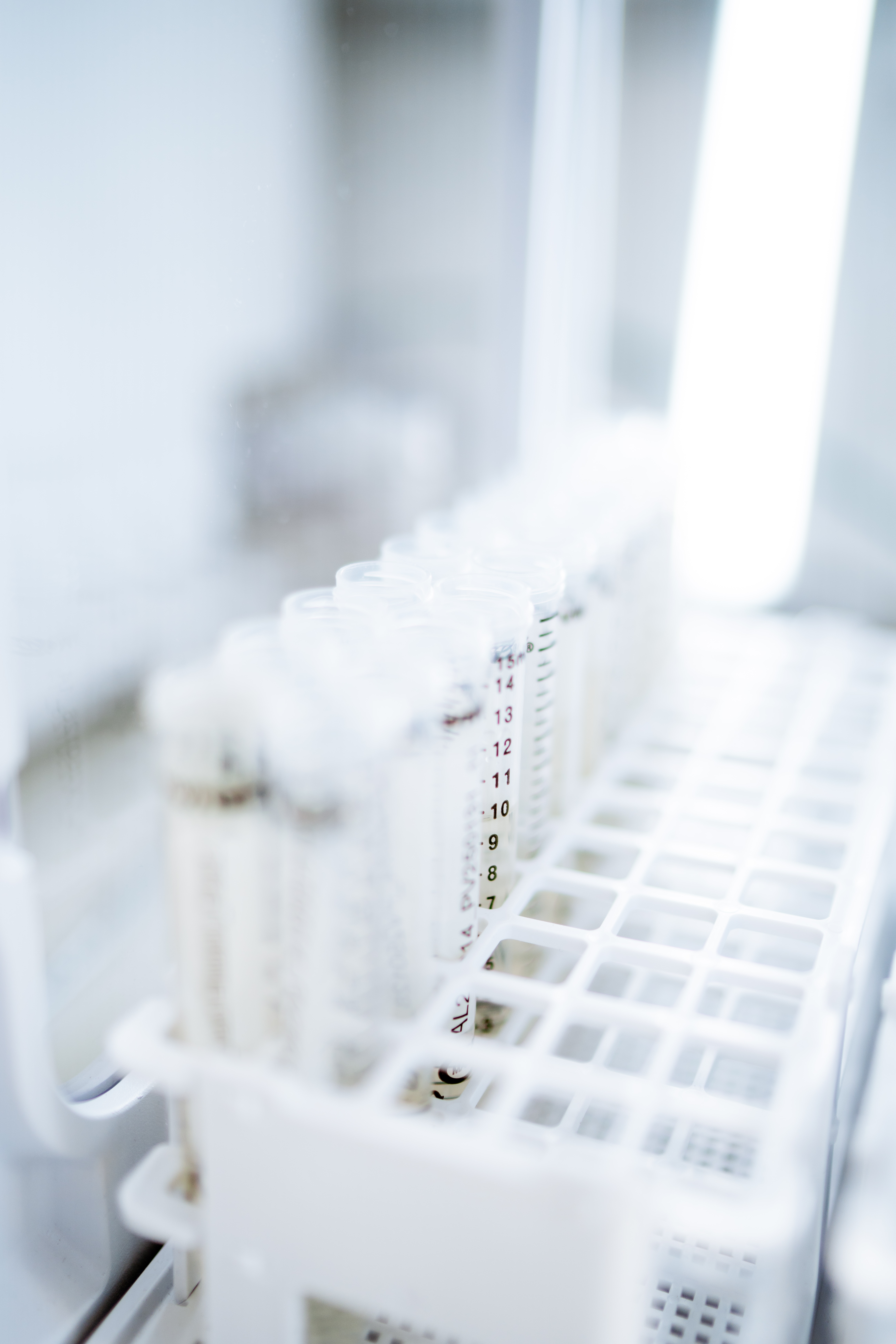 Labor: Produktion und Synthese