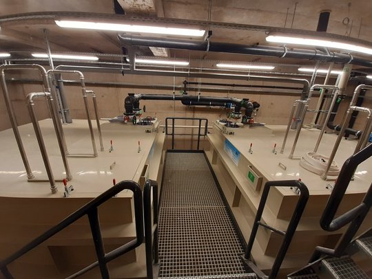 Flow-through neutralisation system MH-Neutra