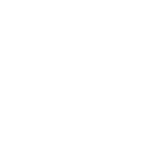 Katalytische Infrarotechnologie