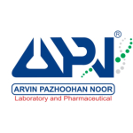 Arvin Pazhoohan Noor (APN) Holding