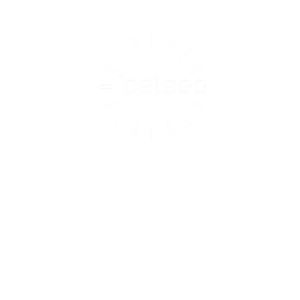 CELSEO-Partnerschaft