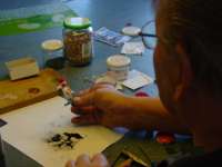 Work Detail in the Workshop