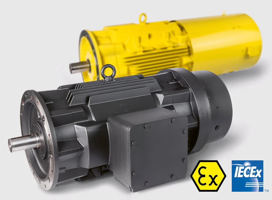 Explosionsgeschützter Elektromotor