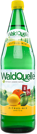 Waldquelle+ Focus Zitrus-Mix