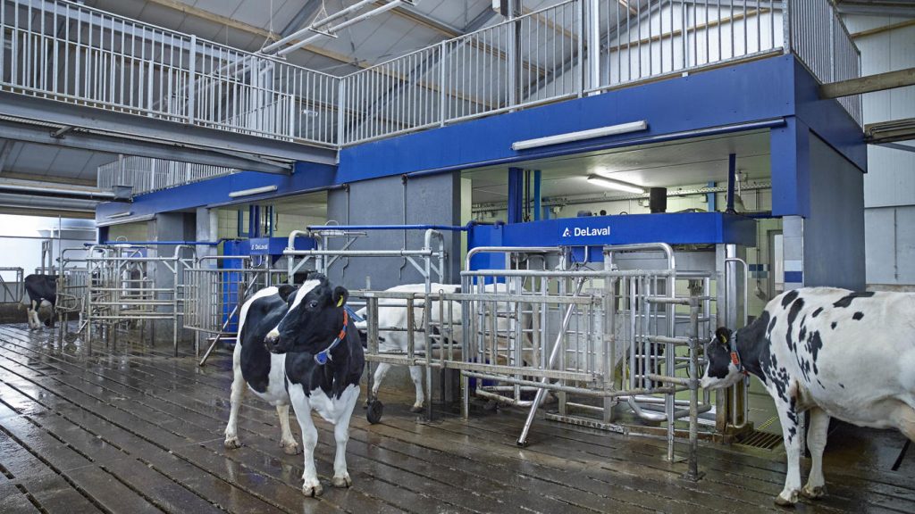 Melktechnik mit DeLaval