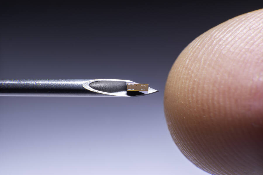 Biosensor-Chip (2 mm²)