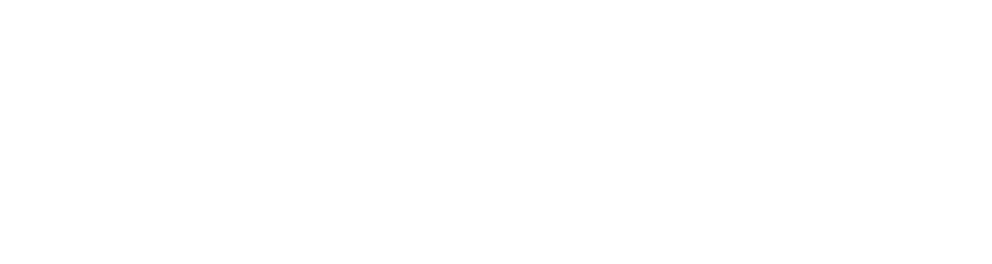 Baumeister Group Logo