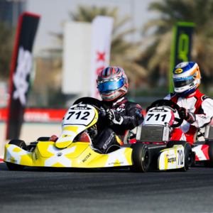 Rotax Kartmotor