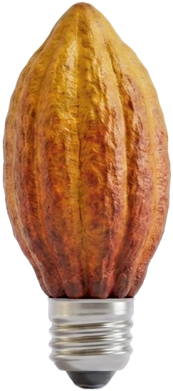 Kakaoschote