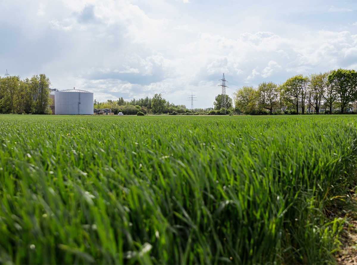 Altlastenfreie Freifläche im Chemiepark