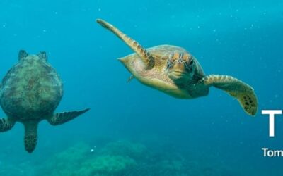 Antriebsleistung für Unterwasser-Drohnen