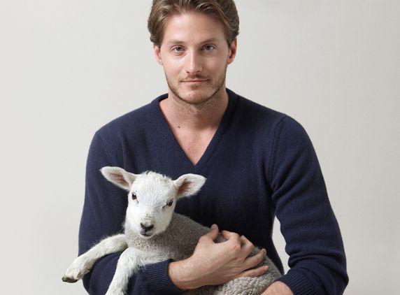 Strickpullover Herren