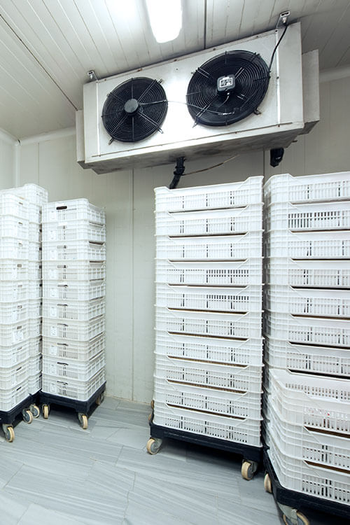 Kälte/Kühlhaus-Komplettlösungen