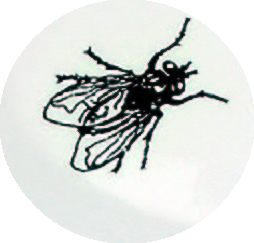 Ökonal Fliege als Zielhilfe