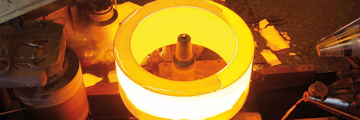 Profilgewalzter Ring