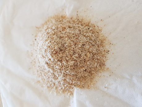 Psyllium-Fruchtschalen (Food-Ingredient)