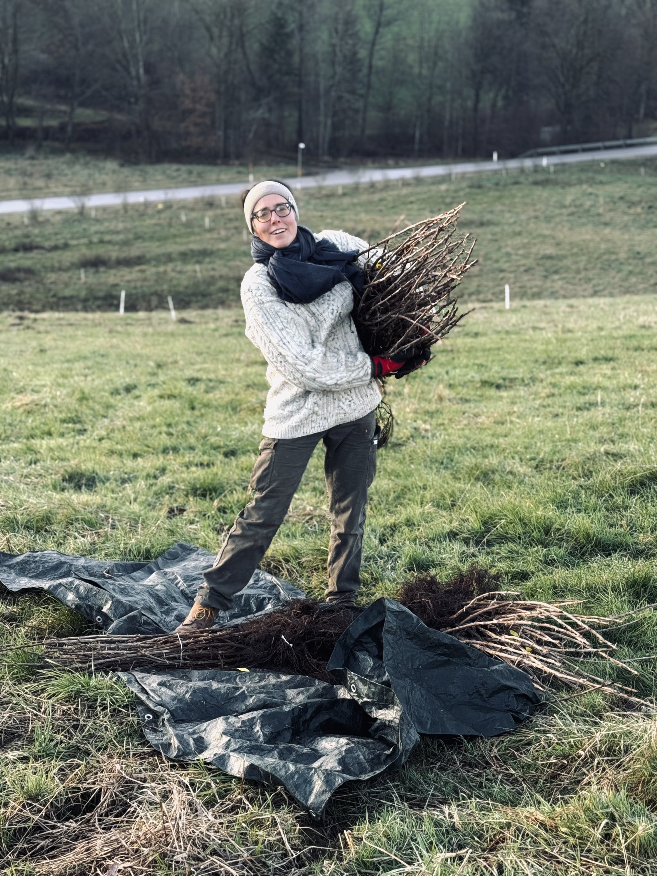Erzeugnisse der Marktgärtnerei