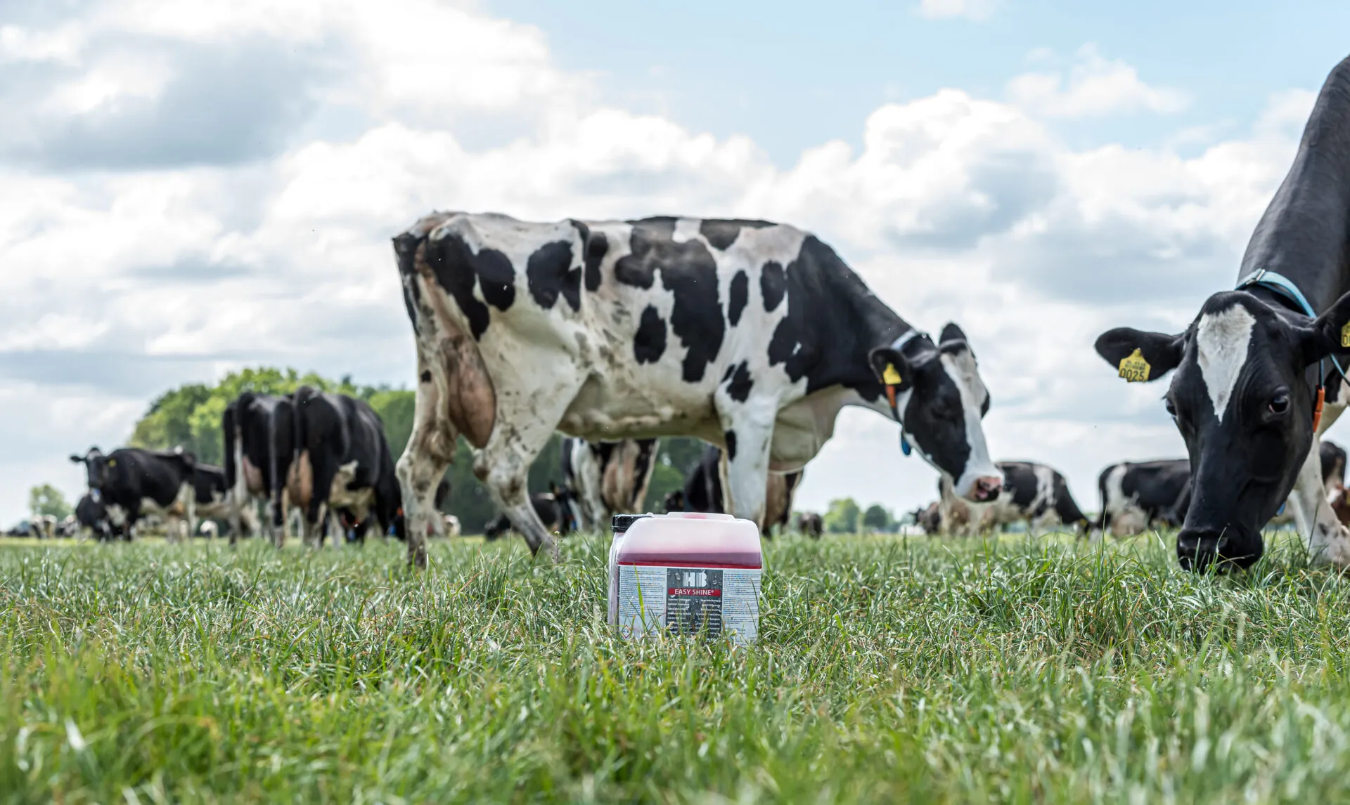 HB Ecoproducts – Fertigung