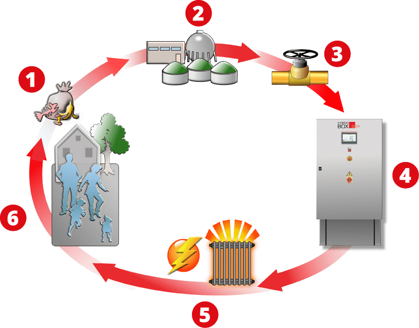 Der Energiekreislauf