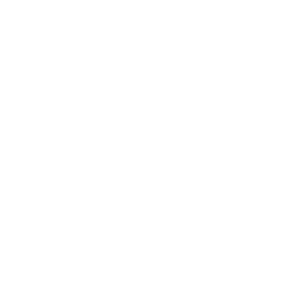 J.D. Austria Logo