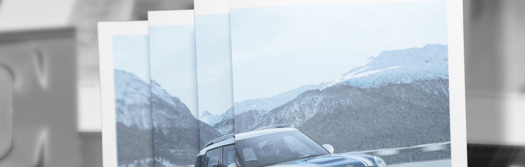 Werbedrucksachen (Flyer, Prospekte, Broschüren, Poster, Roll-Ups)