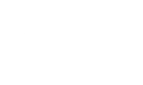 Ledrosteel Box®