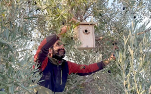 Regenerative Landwirtschaft in Andalusien (Tierra y Libertad und Guadalhorce)