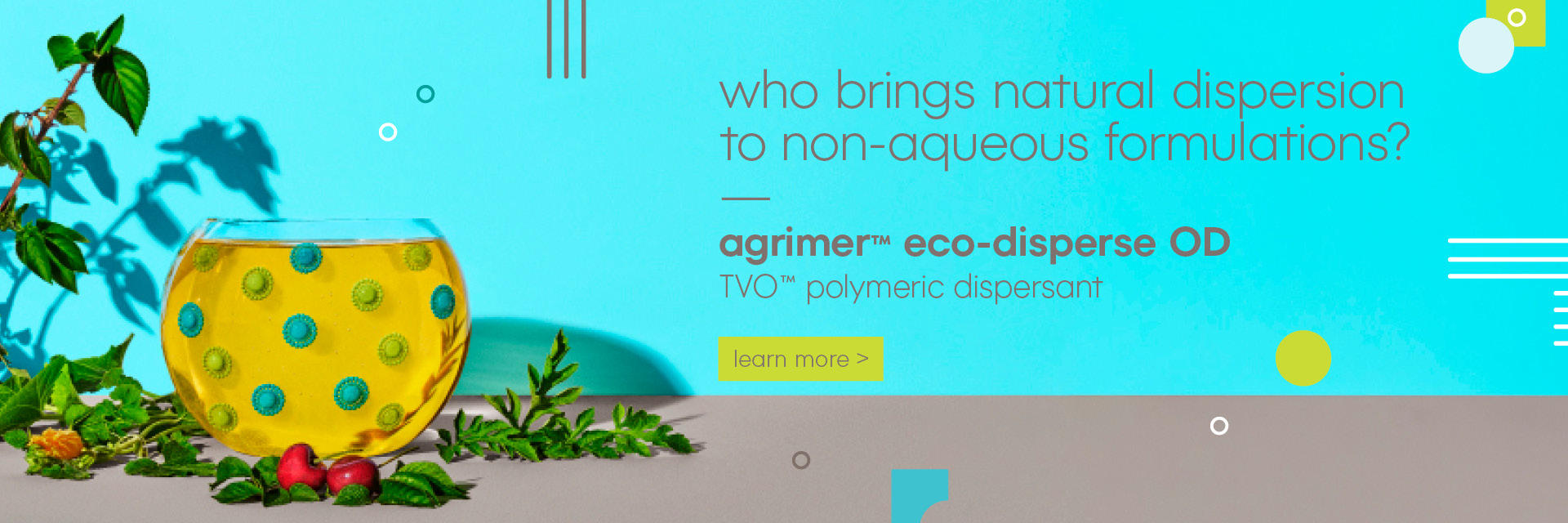 Agrimer Eco Disperse OD