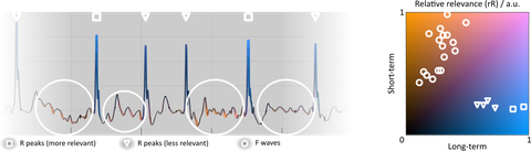 xFuseMap® – Saliency Map