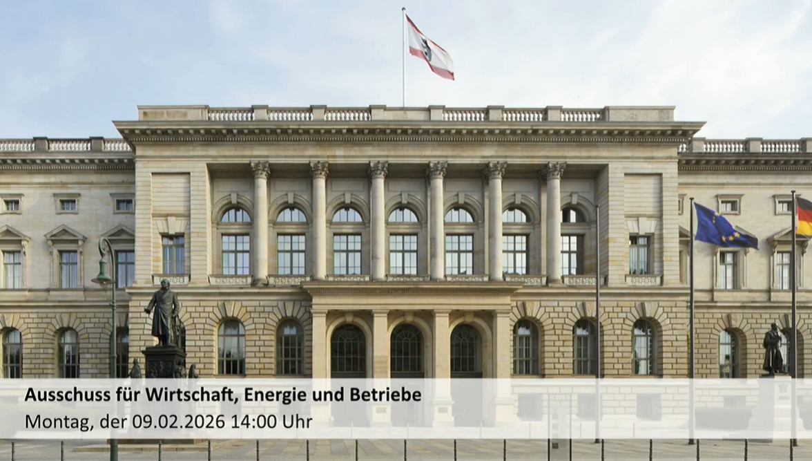Hearing before the Energy Committee of the Berlin House of Representatives
