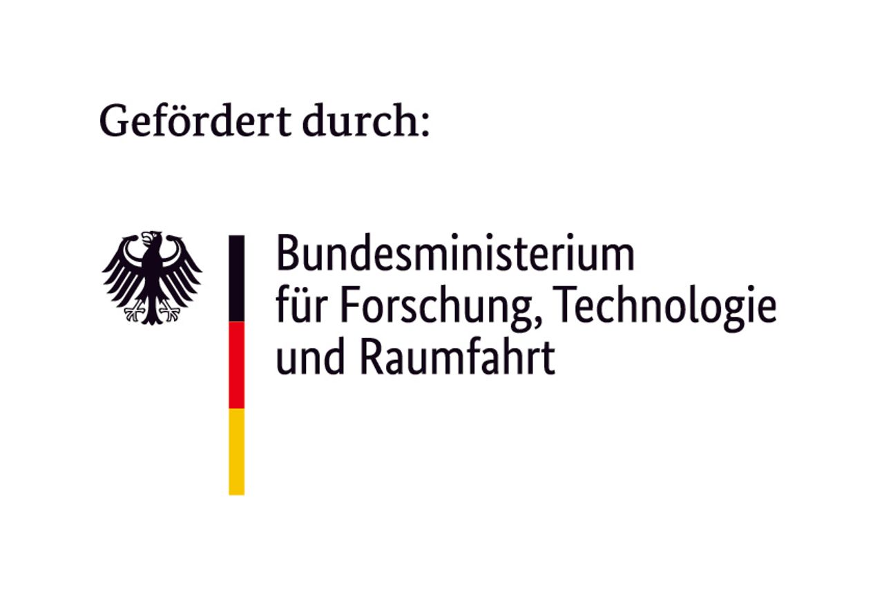 Projektpartner bei der Arbeit