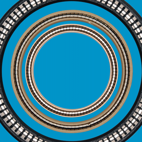 PTFE-Dichtung mit Feder