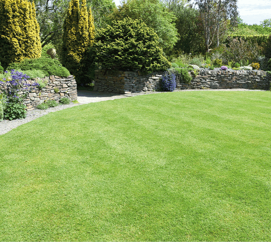 Lawn seed product range